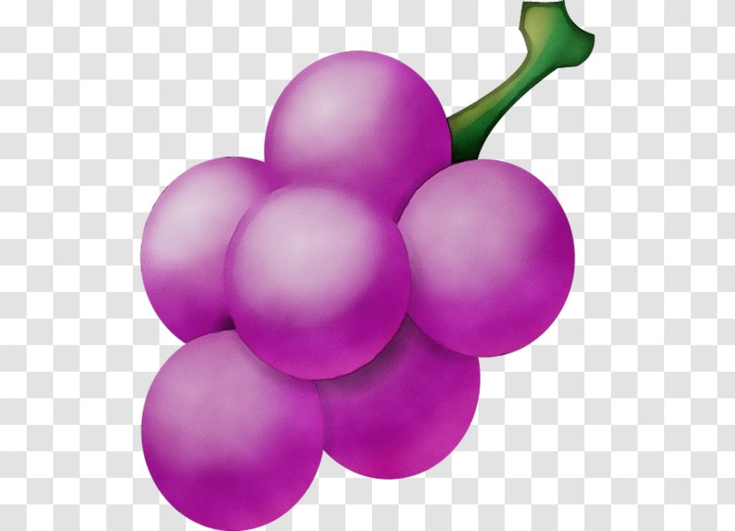 Watercolor Plant - Vitis - Fruit Magenta Transparent PNG