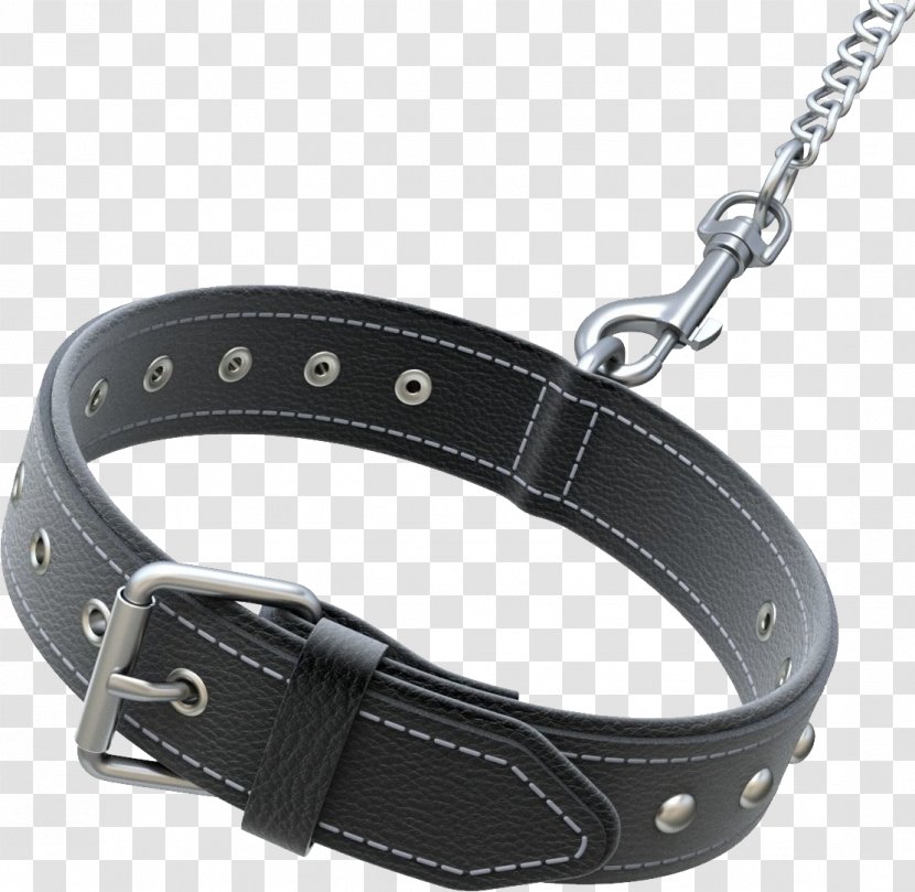 Belt Dog Collar - Leash Transparent PNG