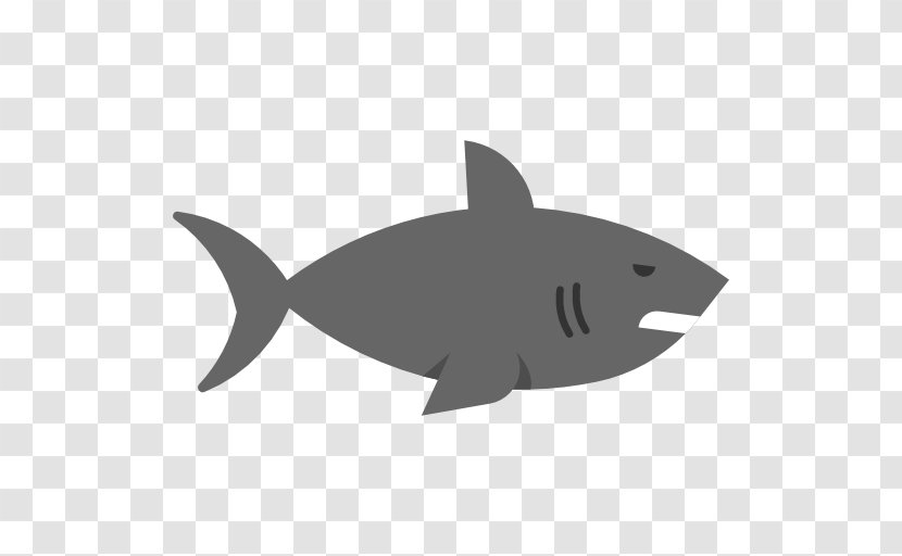 Shark - Fauna - Coreldraw Transparent PNG