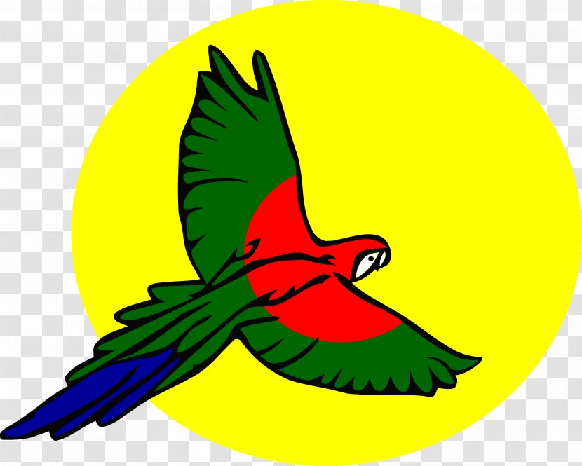 Design - Macaw - Photography Transparent PNG