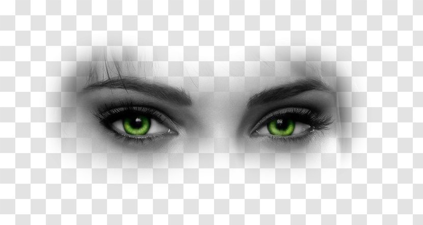 Iris Eyebrow Face Red-eye Effect - Cartoon - Eye Transparent PNG