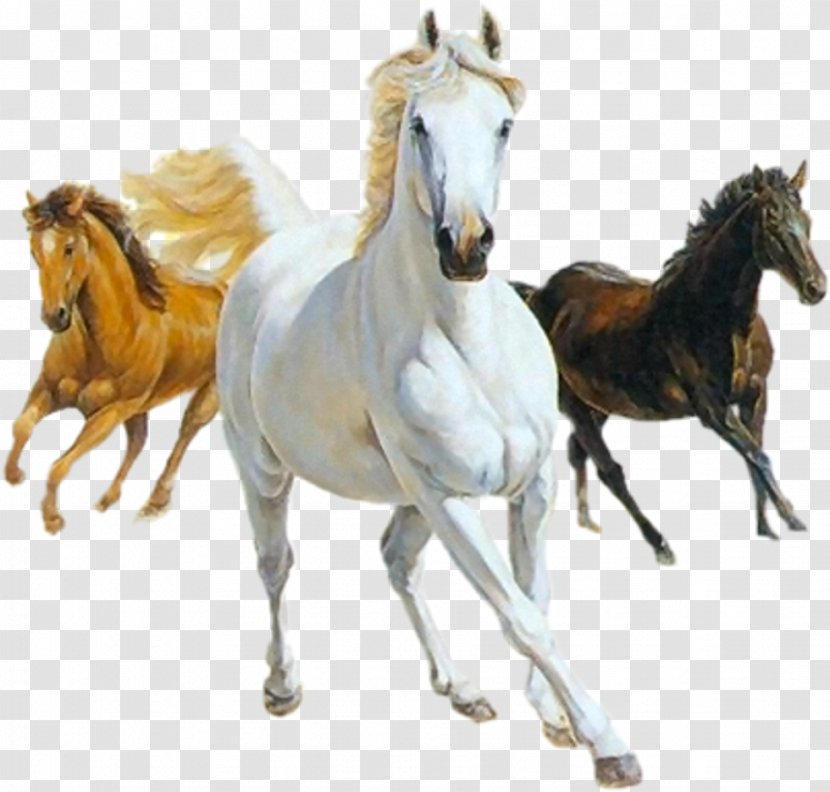 Icelandic Horse Colt Mustang Canter And Gallop Clip Art - White Transparent PNG