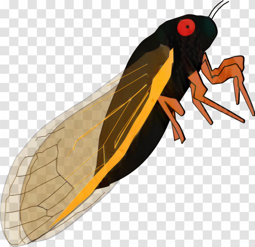 Butterfly Cartoon - Leafhopper - Wing Termite Transparent PNG