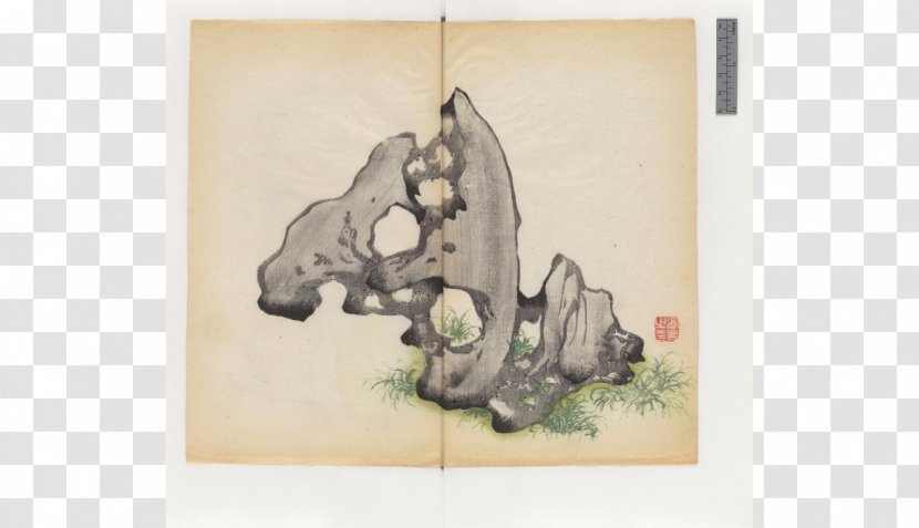 Cambridge University Library Drawing Shih Tzu Painting /m/02csf - Fauna - Zhai Transparent PNG