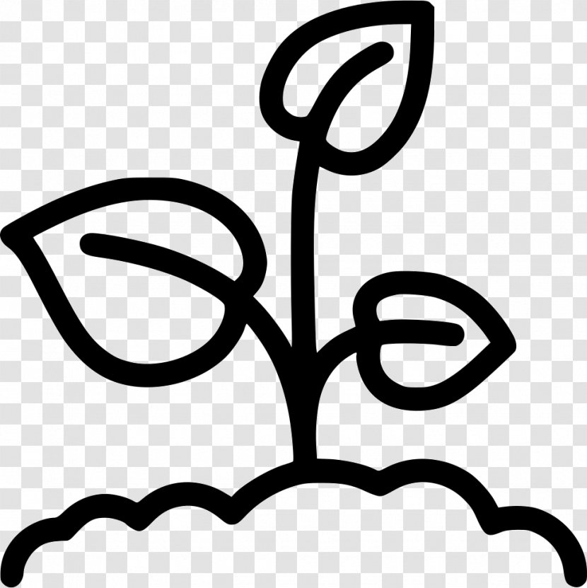 Plant - Symbol - Basil Transparent PNG