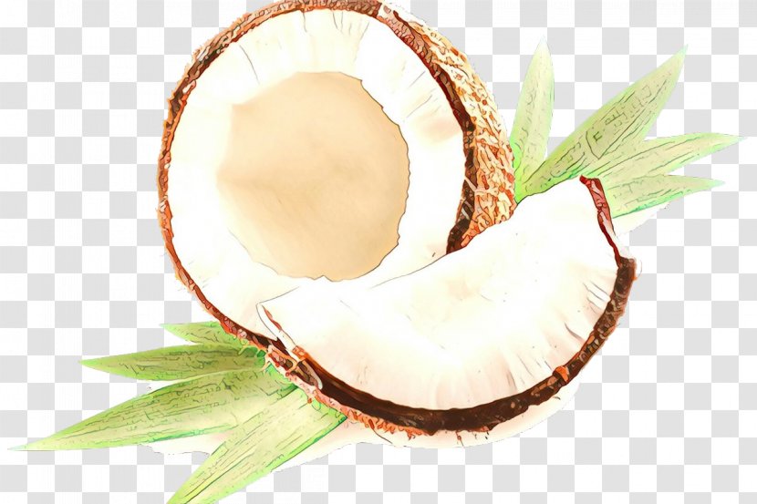 Oil Background - Coconut Water - Plant Transparent PNG