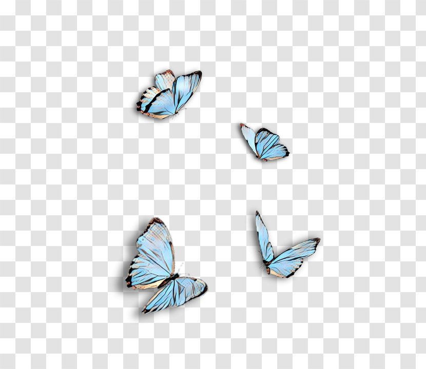 Butterfly Wing - Body Jewelry - Lycaenid Earrings Transparent PNG