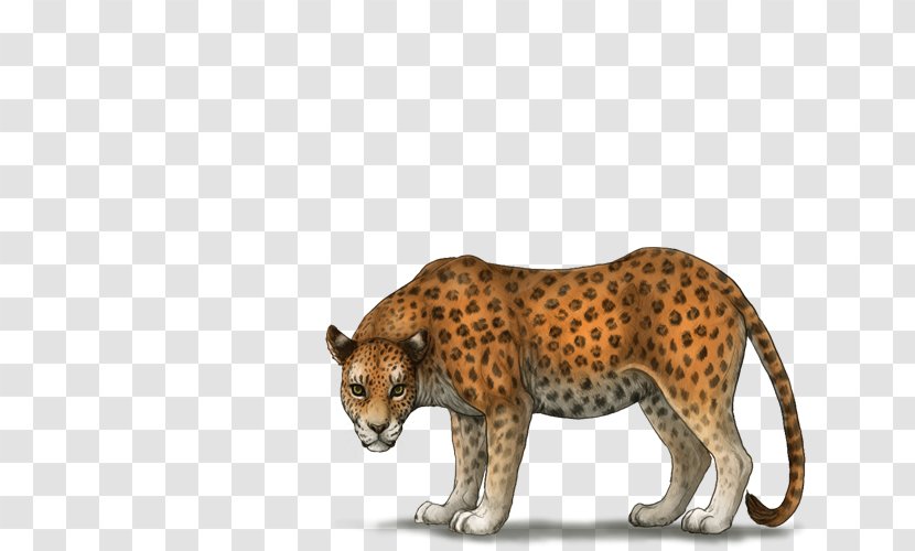 Cheetah Leopard Big Cat Terrestrial Animal - Small To Medium Sized Cats Transparent PNG