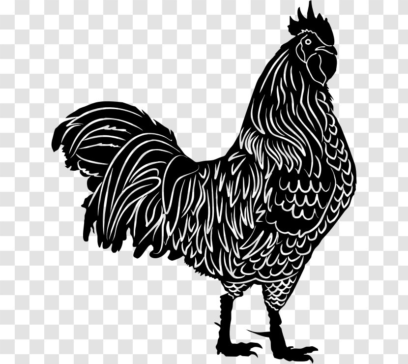 Chicken Rooster Silhouette Clip Art - Fauna - Primula Transparent PNG