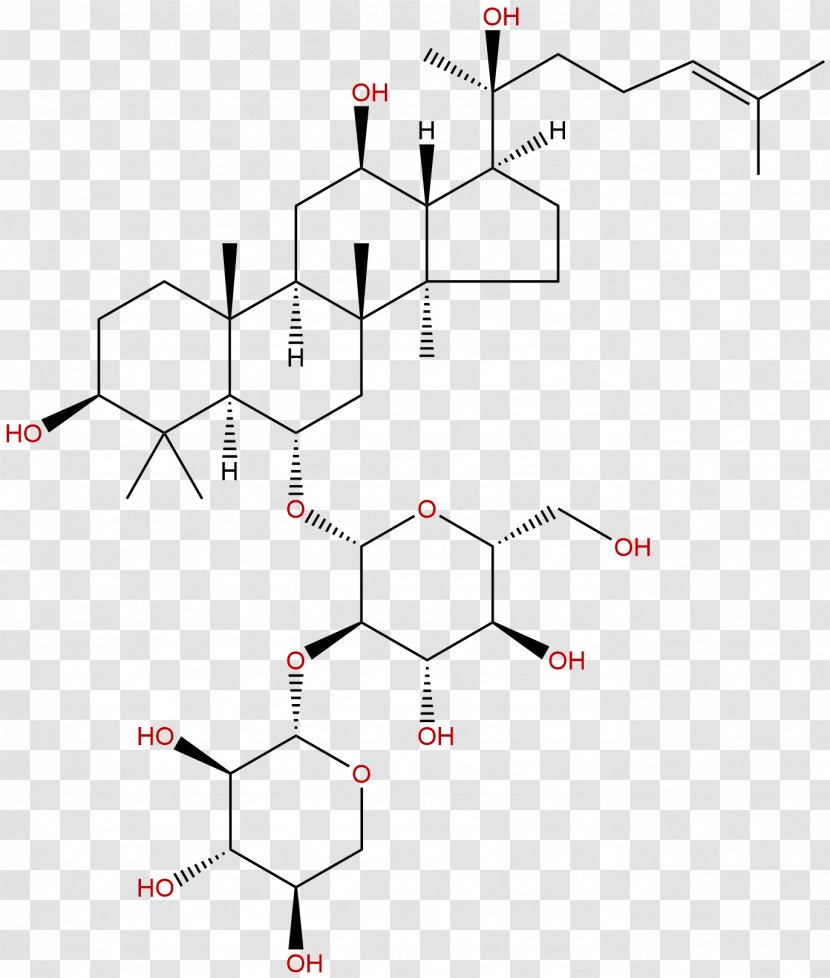 Ginsenoside Saponin Chinese Herbology Panax Notoginseng Pharmacology - Serum - Phytochemicals Transparent PNG