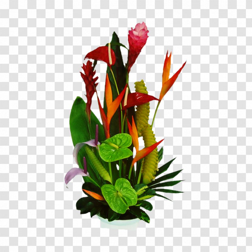 Bird Of Paradise Flower Image Flowerpot Plants - Floristry - Lobsterclaws Transparent PNG