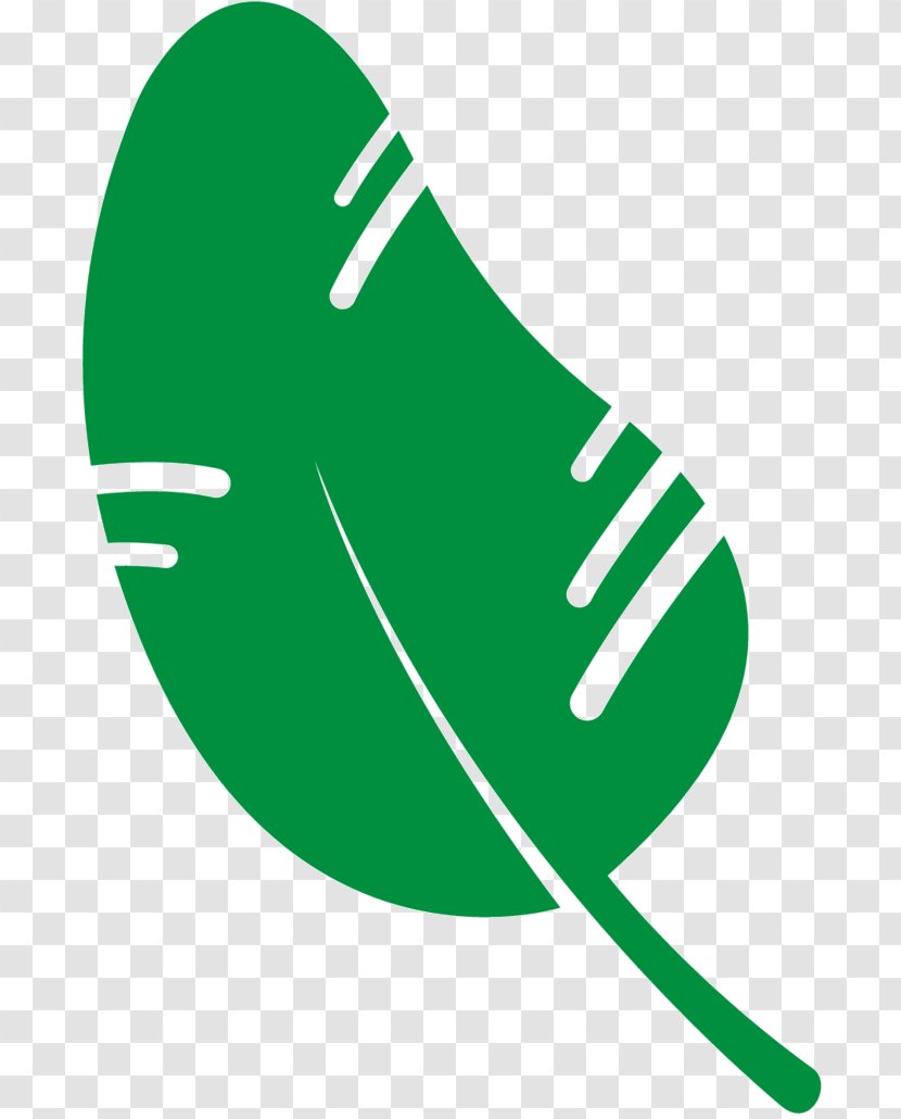 Clip Art Leaf Logo Product Design Line Transparent PNG