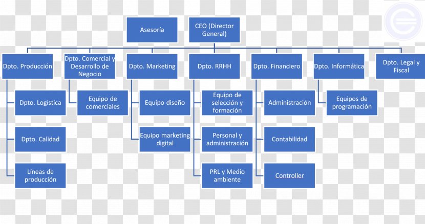 Organizational Chart Family Tree - Area Transparent PNG