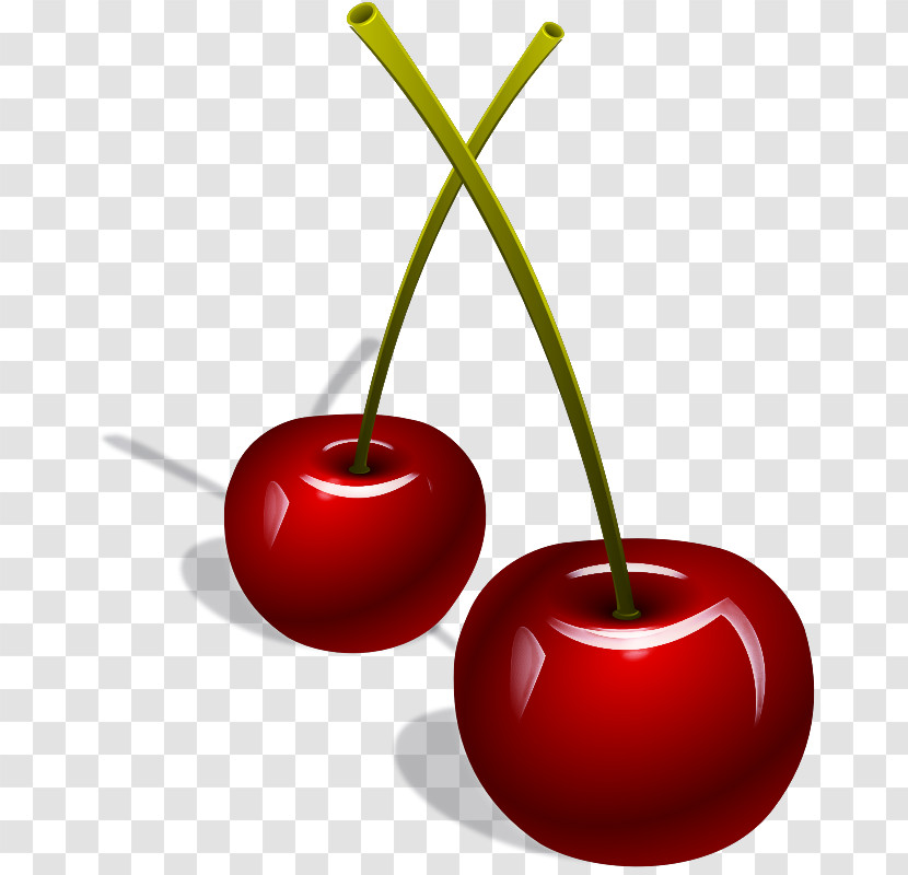 Cherry Fruit Red Plant Tree Transparent PNG