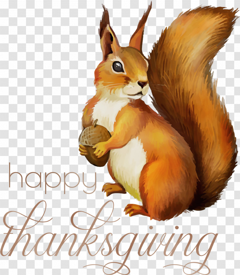 Squirrels Chipmunks Drawing Tree Squirrel Red Squirrel Transparent PNG