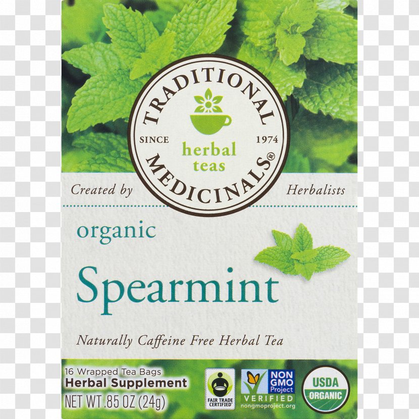 Green Tea Mentha Spicata Peppermint Organic Food - Brand Transparent PNG