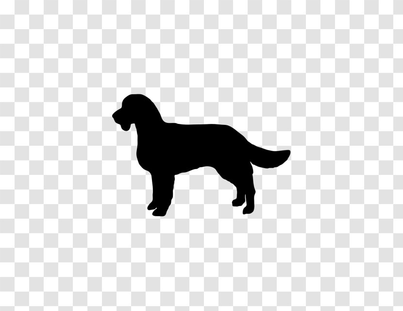 Labrador Retriever Advertising Service Dog Harness - Like Mammal - American Water Transparent PNG