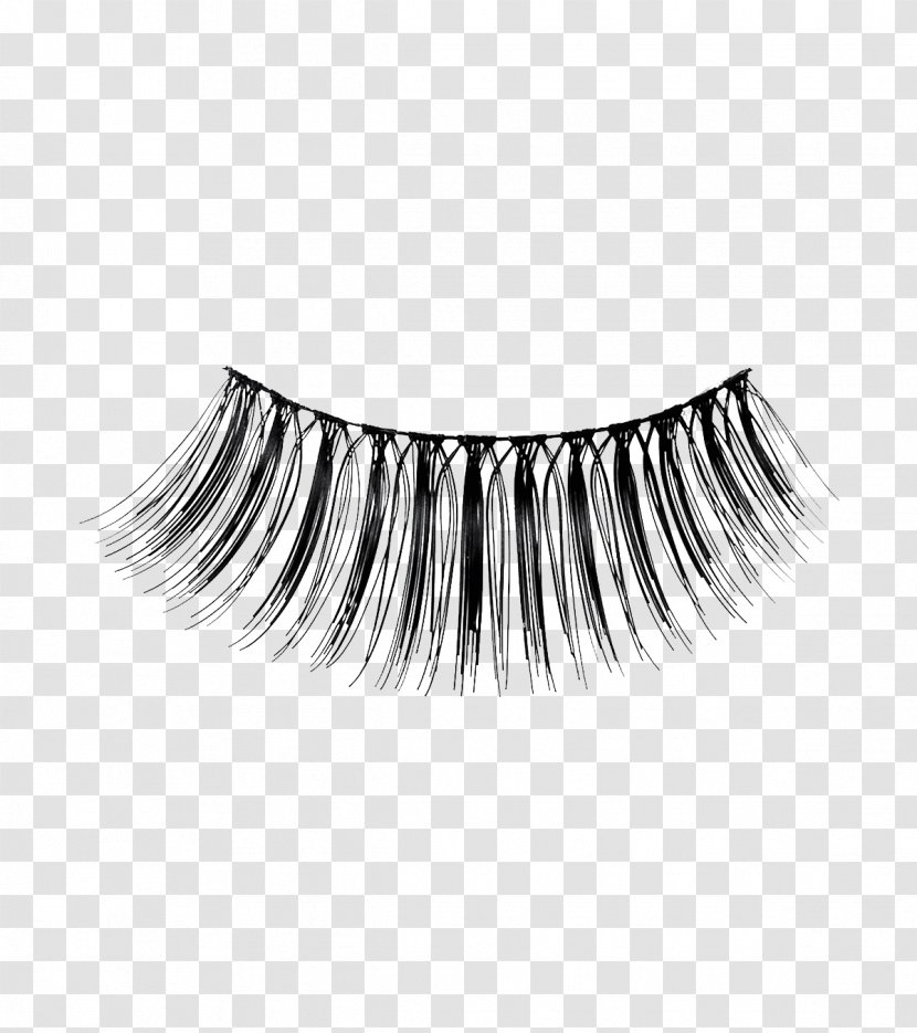 Eyelash Extensions Concealer Cosmetics Foundation - Hairstyle Transparent PNG