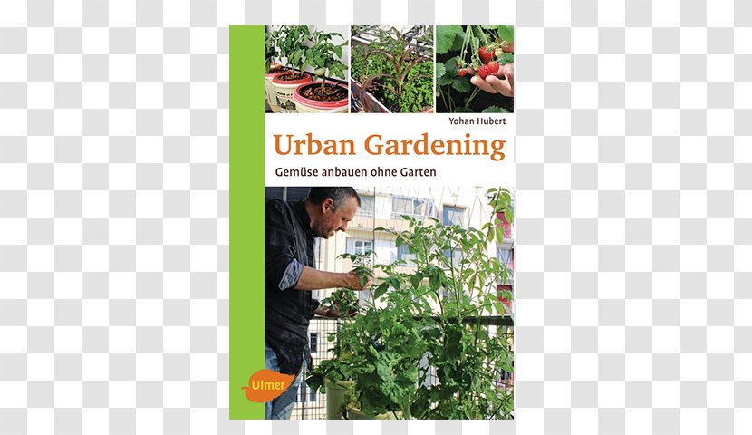 Gartenfachbetrieb Bräuninger Urban Gardening: Gemüse Anbauen Ohne Garten Cultiver Ses Légumes Hors-sol: Guide Pratique Du Potager Productif En Ville - Horticulture - Garden Transparent PNG