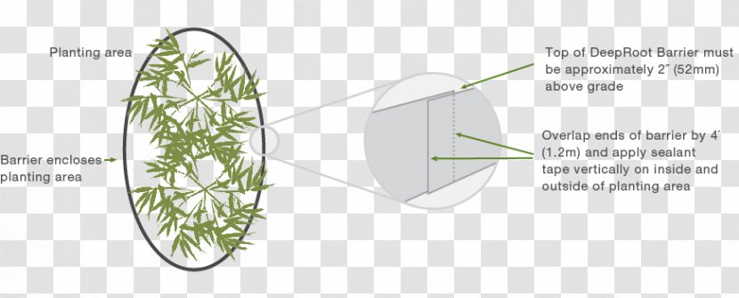 Line Leaf Angle - Tree - Discount Roll Transparent PNG