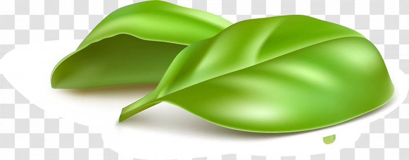 Green Leaf Wallpaper - And Fresh Leaves Transparent PNG