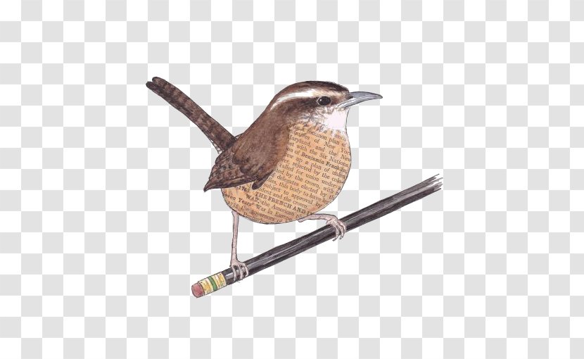 Bird Wren Eurasian Tree Sparrow - Pencil - Free Button Elements Transparent PNG