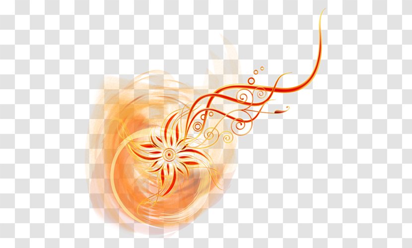 Orange Blossom Clip Art - Neroli - Peach Transparent PNG