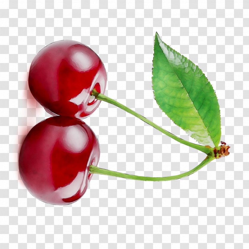 Lingonberry Still Life Photography Superfood - Cherry - Flowering Plant Transparent PNG