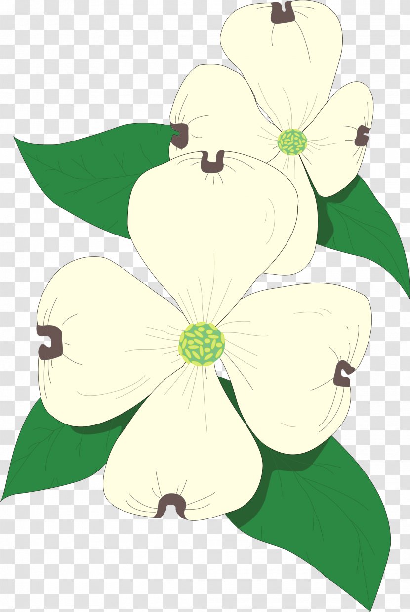 Floral Design Royalty-free Clip Art - Flower Transparent PNG