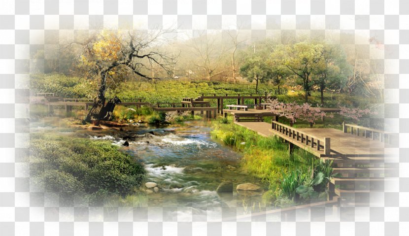 Ninna-ji Natural Landscape Japanese Garden - Watercourse - Pond Transparent PNG