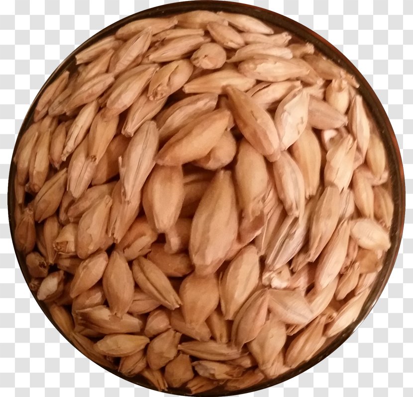 Oat Vegetarian Cuisine Cereal Germ Whole Grain Emmer - Commodity - Spelt Transparent PNG