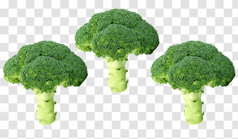 Vegetable Broccoli Clip Art Food - Bean Transparent PNG