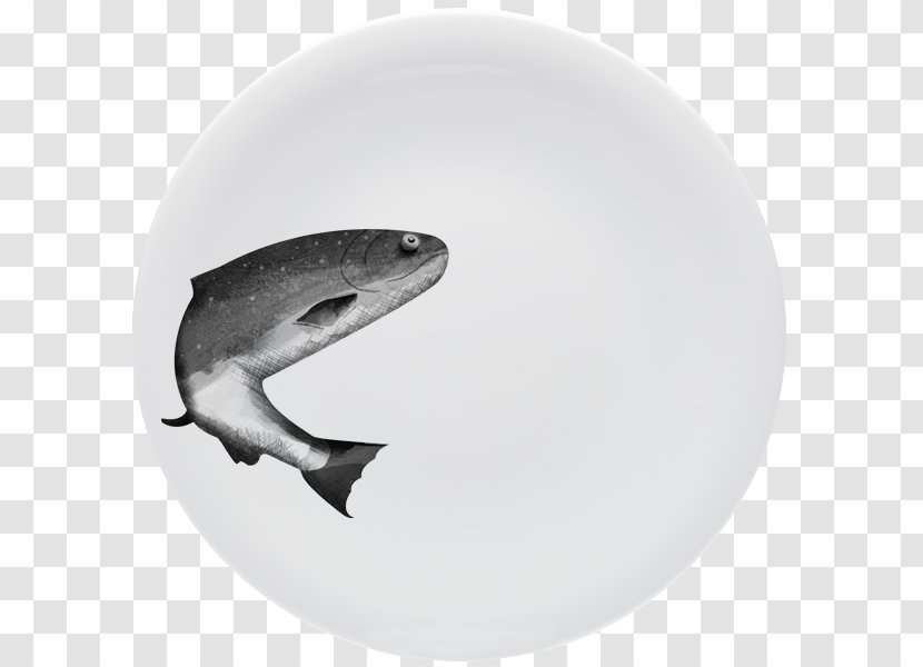 Shark Fauna Tableware Transparent PNG