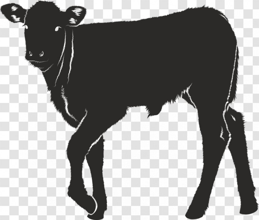 Dairy Cattle Calf Ox Silhouette - Cow Transparent PNG