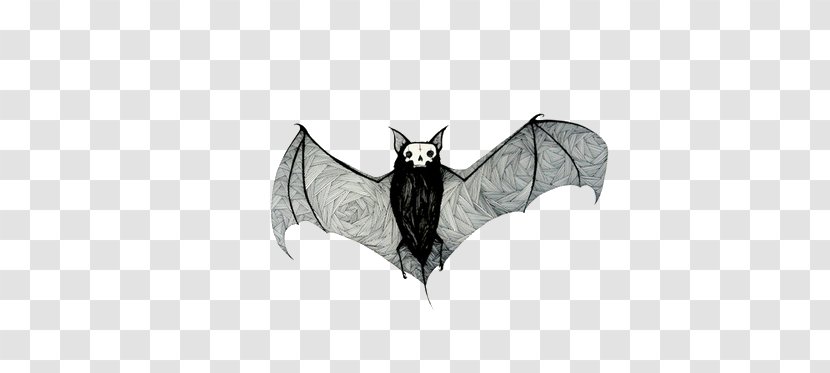 Bat Drawing Sketch - Indian Flying Fox Transparent PNG