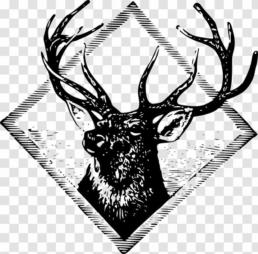 Red Deer T-shirt Elk Clip Art - Mammal Transparent PNG