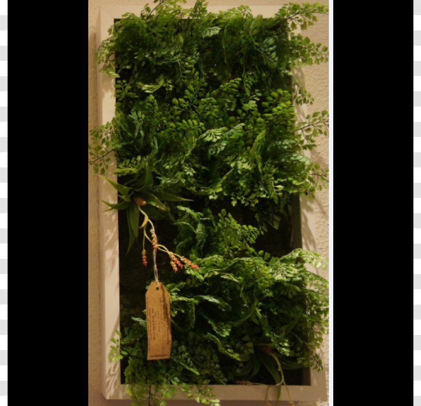 Garden Flowerpot Burknar Bertikal Landscape Architecture - Sunroom - Leaf Vegetable Transparent PNG