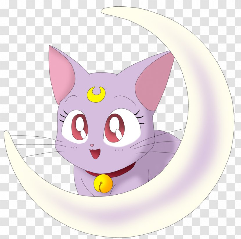 Cat Sailor Moon Chibiusa Luna Mercury - Frame Transparent PNG