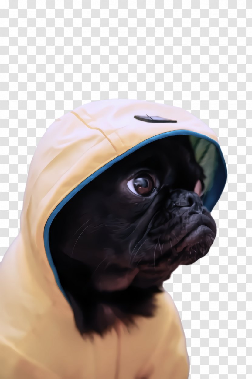 Pug Dog Snout Skin Companion - Puppy Clothes Transparent PNG