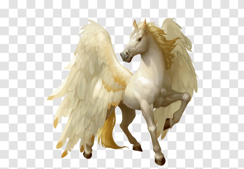 Image Wikia Pegasus - Mythical Creature Transparent PNG