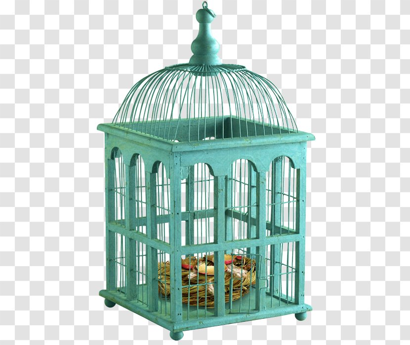 Birdcage Parrot Decorative Arts - Cage Transparent PNG
