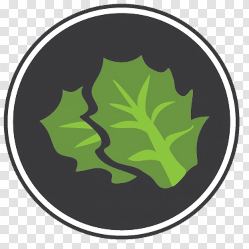 Lettuce Food Management Leaf - Supply Chain Transparent PNG