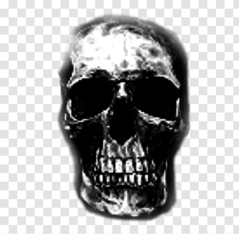 Skull Jaw - Black And White Transparent PNG