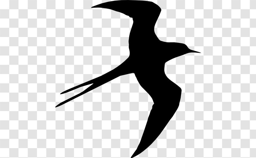 Bird Silhouette Swallow Drawing - Black And White Transparent PNG