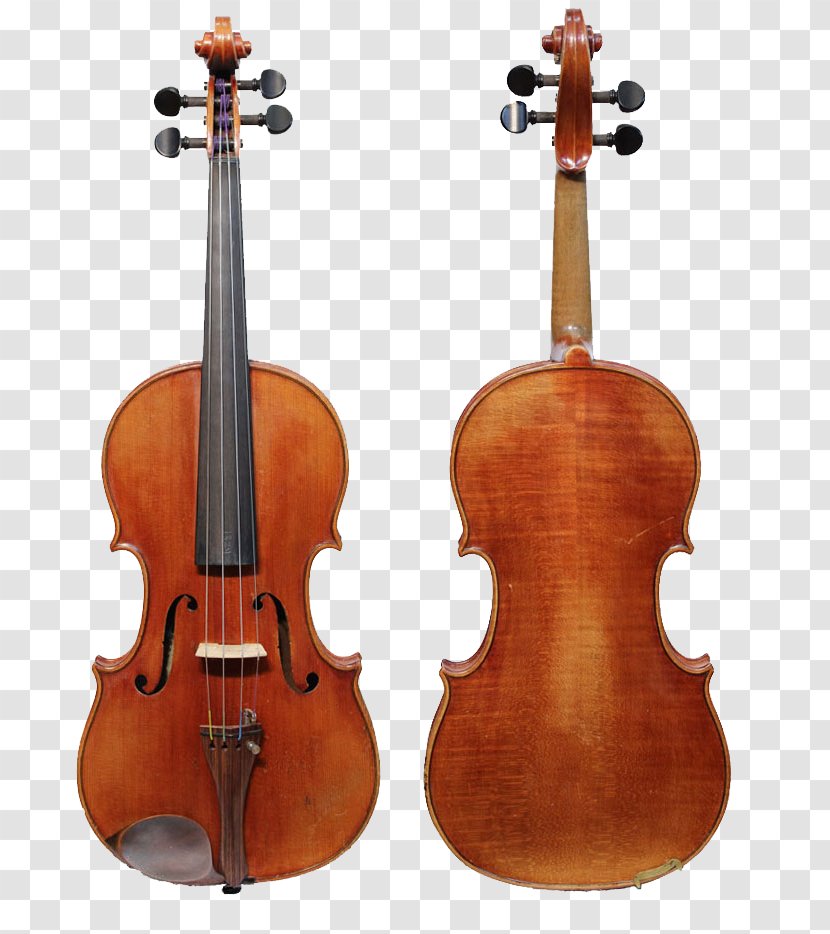 Violin Family String Instruments Stradivarius Cello - Violone Transparent PNG