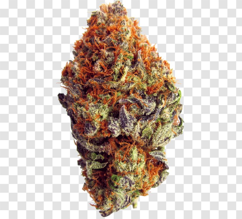 Medical Cannabis Image Smoking - Information - Weed Nugget Transparent PNG