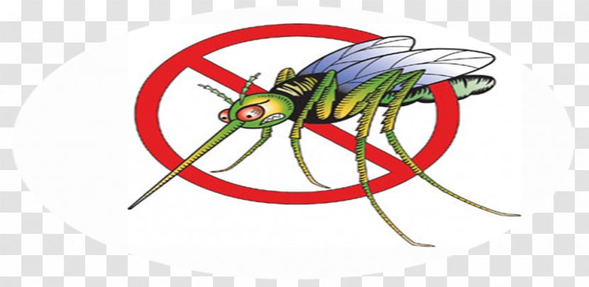 Dengue Preventive Healthcare Fly Household Insect Repellents - Health Transparent PNG