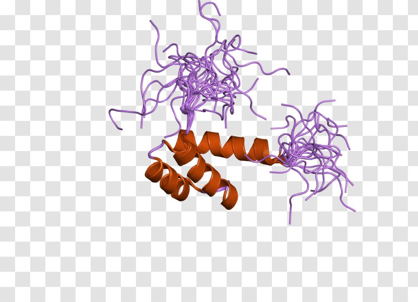 ATBF1 Insect Protein Gene - Zinc - Finger Transparent PNG