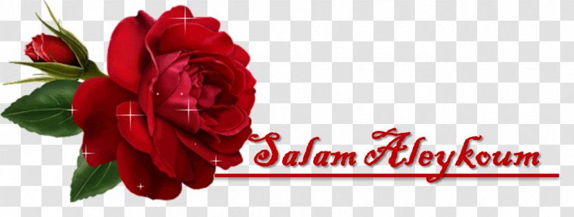 YouTube Desktop Wallpaper - Floristry - Eid Al Adha Desserts Transparent PNG