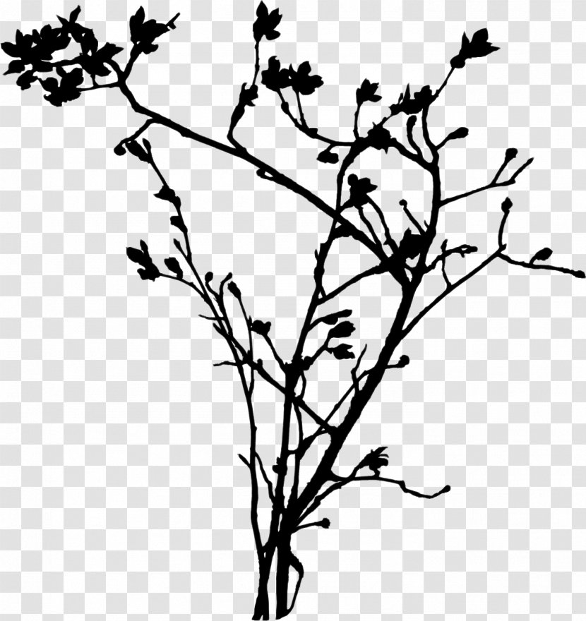 Twig Branch Leaf Plant Stem Tree - Bay Laurel - Line Art Transparent PNG